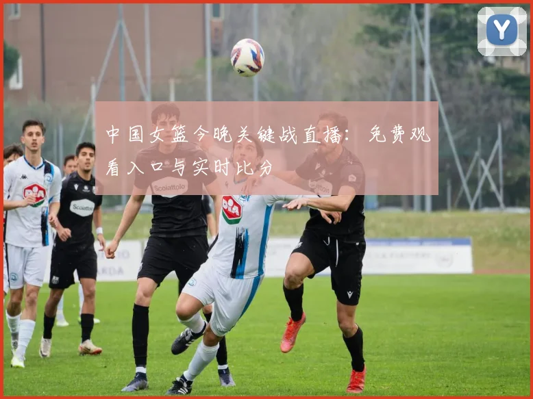 中国女篮今晚关键战直播:免费观看入口与实时比分